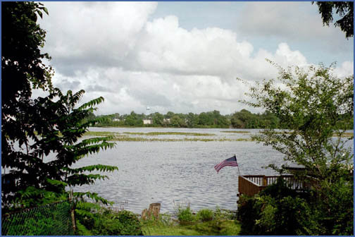 My piece of paradise